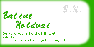 balint moldvai business card